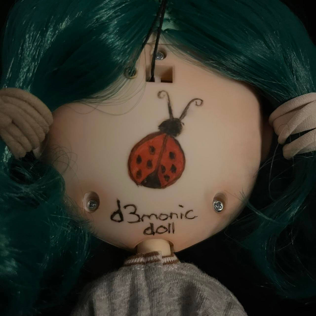 ladybug 